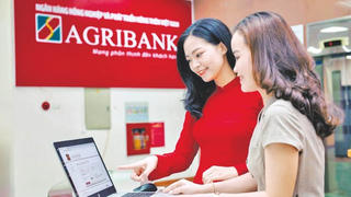 Lợi nhuận của Agribank tăng mạnh năm 2024