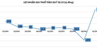 CII: Lãi lớn nhưng... không đến từ hoạt động kinh doanh chính