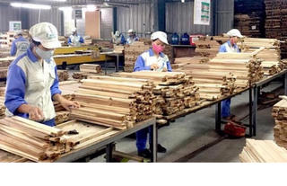 Cả nghìn tỷ đồng ứ đọng, doanh nghiệp 'kêu trời' vì thủ tục hoàn thuế