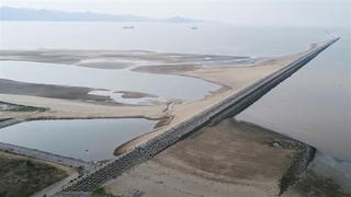 Quy hoạch cảng biển VN: Nhà mặt đường là mở cửa hàng