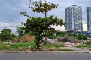 Đà Nẵng: Đấu giá 10.000m2 đất để xây trung tâm thương mại 2.000 tỷ đồng