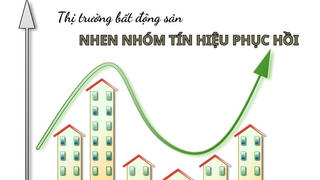 Phân khúc nào được quan tâm nhất trong bối cảnh toàn thị trường trầm lắng?