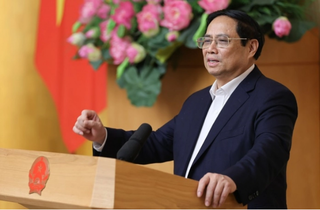 Từ 2016 - 2020: 19 tập đoàn, TCT hầu như không có dự án, công trình khởi công mới
