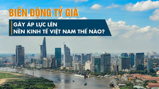 Biến động tỷ giá gây áp lực lên nền kinh tế Việt Nam thế nào?