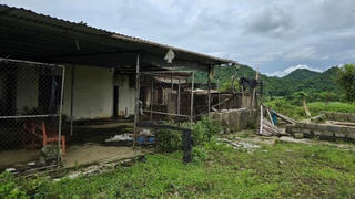 Đắp chiếu nhiều năm, dự án Công ty Giống chăn nuôi miền Bắc bị thu hồi đất