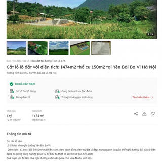 Qua thời “bỏ phố về làng”, nhiều lô đất ven đô được rao bán cắt lỗ rầm rộ