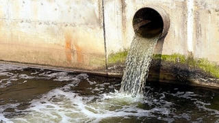 Yên Bái: Công ty TNHH Thương mại Đầu tư Yên Bình bị xử phạt 540 triệu đồng