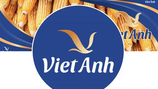 'Ông lớn' kín tiếng CP Việt Anh: Vốn 40 tỷ, doanh thu gần 2.500 tỷ đồng
