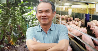 Hoàng Anh Gia Lai (HAG) nuôi thí điểm 100.000 con gà, kỳ vọng đưa cổ phiếu thoát diện cảnh báo