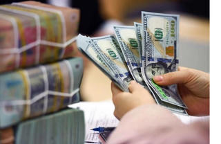 NHNN liên tục hút tiền: 227 nghìn tỷ rút khỏi lưu thông, lãi suất liên ngân hàng tăng gấp đôi