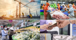 Doanh nghiệp quay trở lại hoạt động tăng 67,1% so với cùng kỳ năm 2021