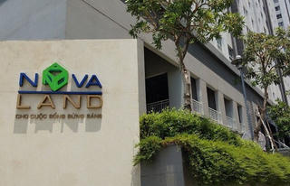 NVL bị cắt margin, cổ phiếu nằm sàn, trắng bên mua