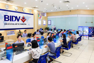 Loạt công ty con của 'ông lớn' Ngân hàng BIDV đang làm ăn ra sao?