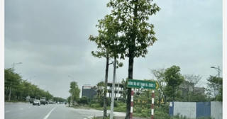 Cicenco 5 Land tiếp tục làm dự án BT đường phía Nam Hà Nội