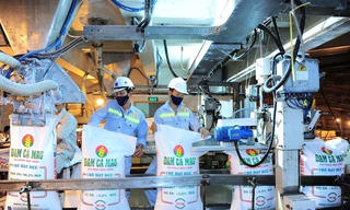 'Bị' áp VAT: Cổ phiếu phân bón mừng vì 'món lợi' hàng trăm tỷ