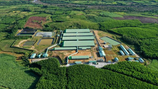 C.P. Việt Nam và cuộc đấu với các tập đoàn nội địa