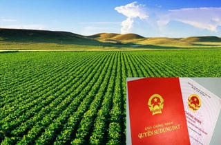 Quy định mới về chuyển đất nông nghiệp sang đất thổ cư năm 2025
