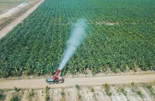 Đường 'về bờ' ngày càng xa, HNG lỗ quý thứ 14 liên tiếp