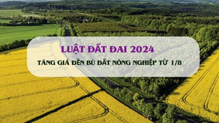 Từ 1/8, người dân hưởng lợi lớn khi tăng giá đền bù đất nông nghiệp