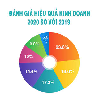 Khảo sát tình hình kinh doanh năm 2020: Giảm sút hoặc không tăng trưởng nhiều