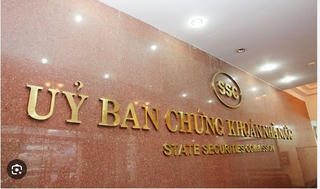 Không công bố thông tin, Công ty Phát triển Khu Công nghiệp EIP bị phạt