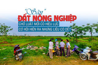 “Săn” đất nông nghiệp chờ đợi Luật mới: Cơ hội hiện ra nhưng liệu có dễ?