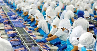 Vĩnh Hoàn bán 1,4 triệu cổ phiếu quỹ, dự thu về 130 tỷ đồng