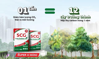 Bước vào thị trường 110 tỷ USD: DN xi măng ngoại đang vượt nội