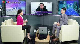 Nhận định TTCK ở sát vùng đáy, chuyên gia tiết lộ nhóm ngành chiếm ưu thế và hút dòng tiền