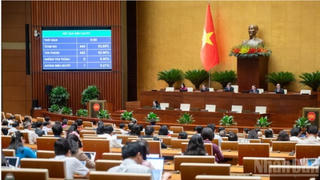 Kéo dài miễn thuế sử dụng đất nông nghiệp đến hết năm 2030