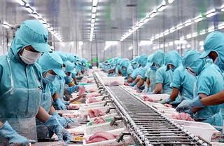 Doanh thu cao nhất 5 năm, ông lớn thủy sản lãi quý III gấp 27 lần cùng kỳ
