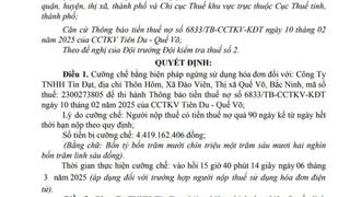 Nợ thuế hàng tỷ đồng, Công ty Tín Đạt và Công ty F&L Vina bị cưỡng chế ngừng sử dụng hóa đơn