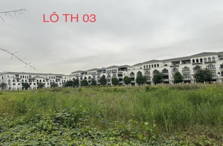 Đất xây trường học suốt 5 năm bỏ hoang, Hải Phòng cảnh báo sẽ thu hồi