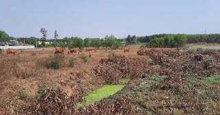 Sau khi bị tố lừa đảo, Công ty Thời Đại Land mời khách hàng lên làm việc