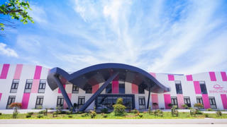 May Sông Hồng dự kiến phát hành hơn 37,5 triệu cổ phiếu thưởng