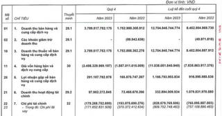 Một công ty báo doanh thu bất động sản gấp 11 lần so với năm 2022