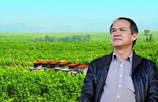 Doanh nghiệp của bầu Đức vẫn chưa thoát vận đen