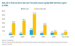Khối nợ hàng trăm nghìn tỷ đồng trái phiếu của nhiều ‘đại gia’ bất động sản sắp đến hạn thanh toán