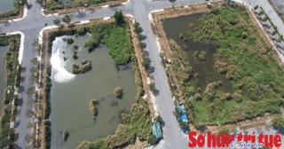 Ai đứng sau hai doanh nghiệp xin 'trả góp' tiền đấu giá đất Thủ Thiêm?