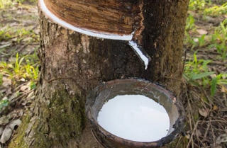 Sắp chuyển đổi 1.600ha đất, DPR có cơ hội nhận khoản đền bù 2.400 tỷ