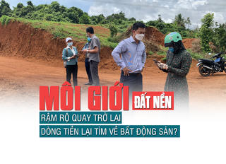 Môi giới đất nền rầm rộ quay trở lại, dòng tiền đã tìm về bất động sản?