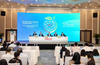 ĐHĐCĐ GELEX 2024 thông qua mục tiêu lợi nhuận trước thuế hợp nhất 1.921 tỷ đồng
