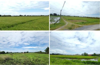 Hình ảnh khu đất Vinhomes xây đô thị hơn 1 tỷ USD tại Long An