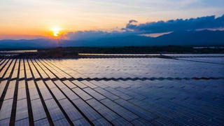 Chủ dự án điện mặt trời Trung Nam Thuận Nam lỗ gần 600 tỷ đồng