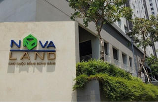Novaland: Hé lộ ứng viên HĐQT mới thay ông Bùi Xuân Huy và bà Hoàng Thu Châu