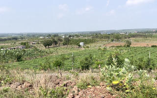 Hải Phòng: ban hành quy định về bồi thường, thu hồi đất