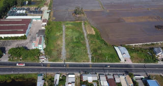 Vĩnh Long chuẩn bị đấu giá quyền sử dụng khu đất gần 88.000m2