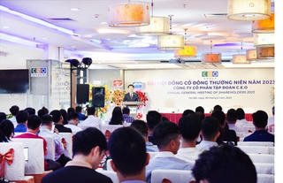 ĐHCĐ lần một bất thành, CEO dự kiến tổ chức lần hai vào ngày 24/7