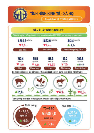 Tình hình kinh tế - xã hội 7 tháng