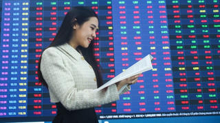 Dòng vốn đầu tư toàn cầu đảo chiều, Việt Nam đón tín hiệu khởi sắc